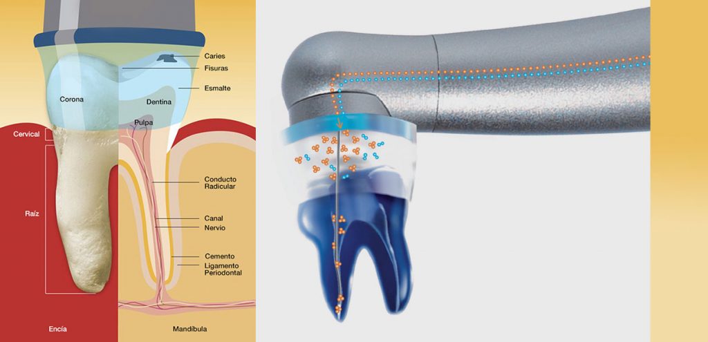 Benefits of Healozone