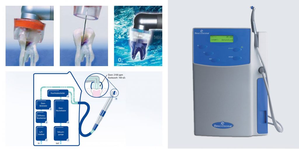 cariology and endodontology.