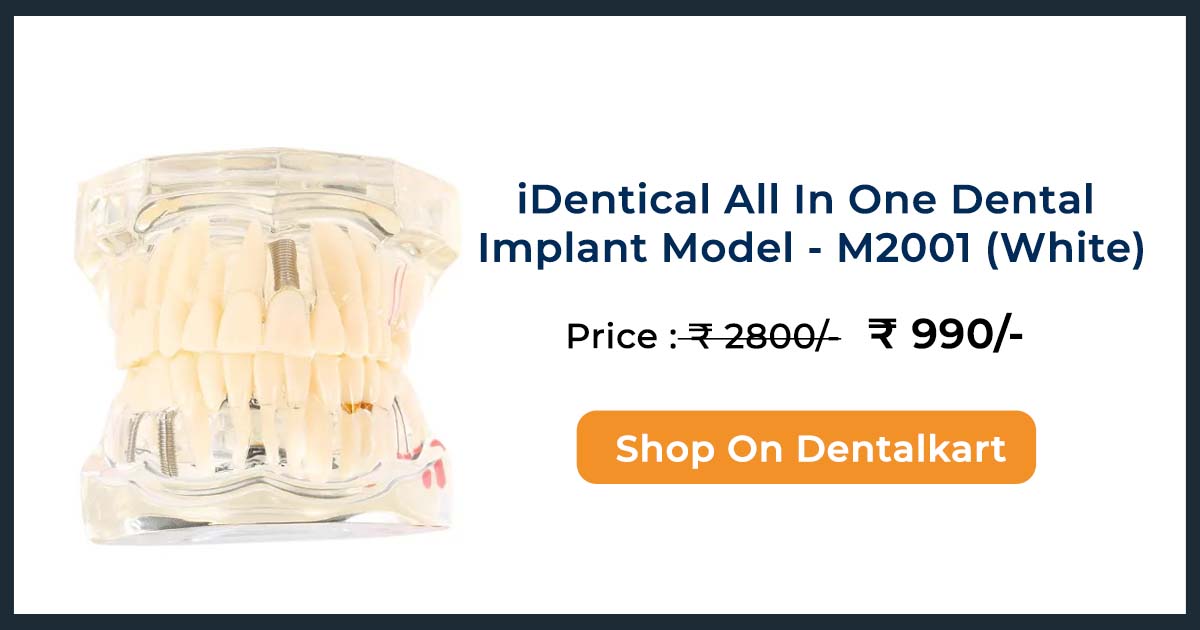 patient education model