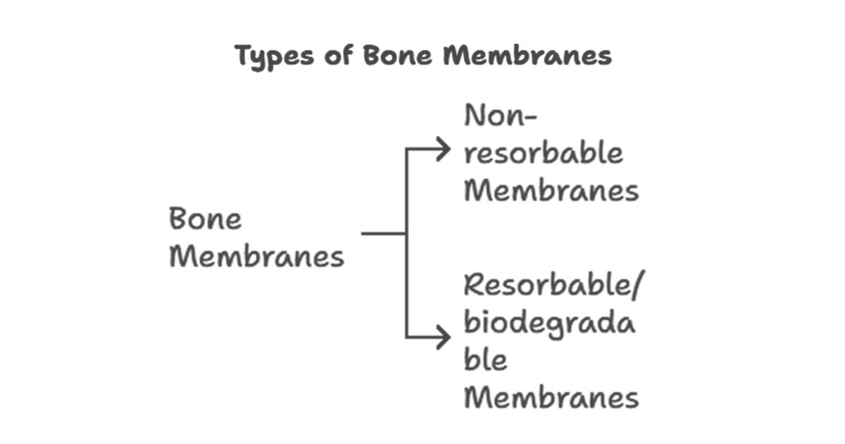 Types of bone membranes