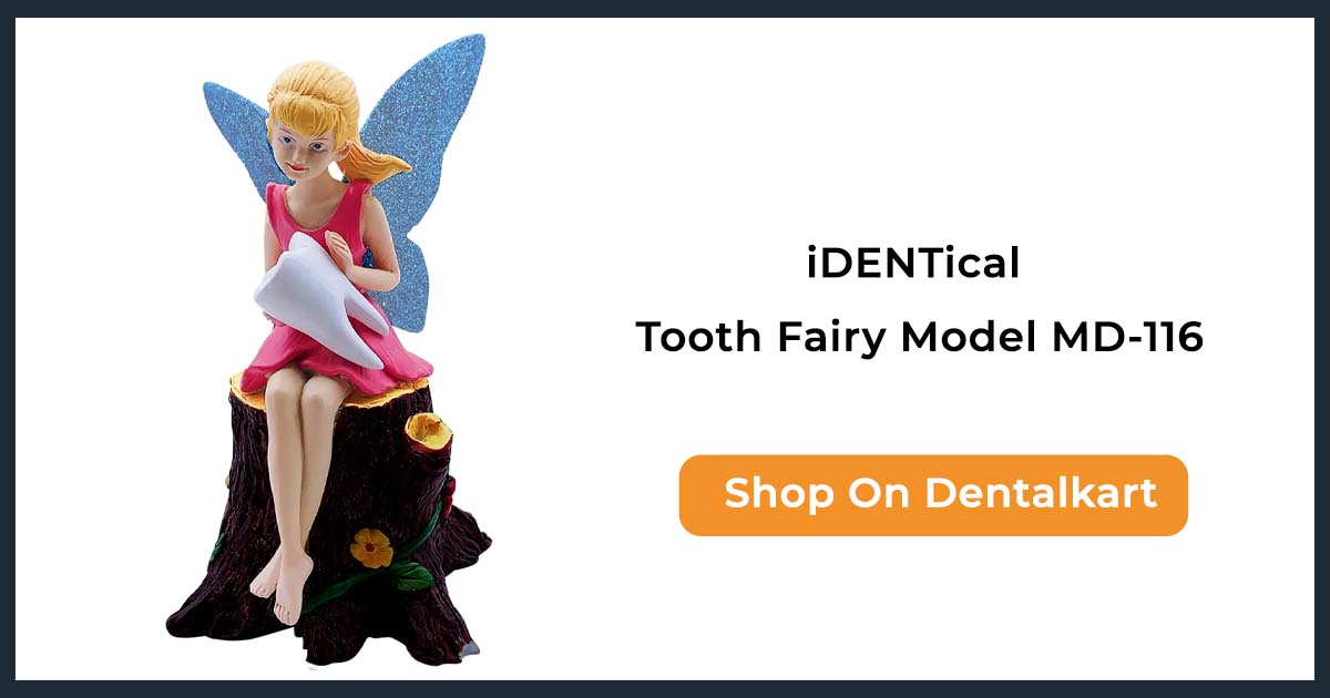 iDENTical Tooth Fairy Model MD-116