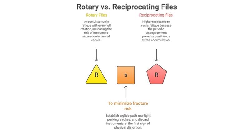 rotary vs reciprocating files